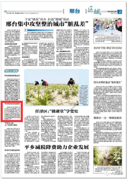 可爱女孩当管家