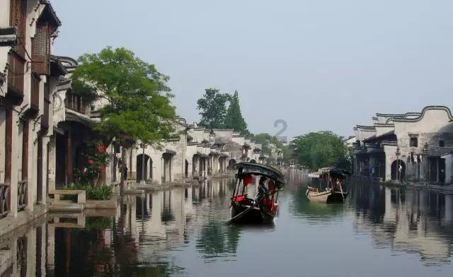 20厘米玄凤鹦鹉多大？游戏画面