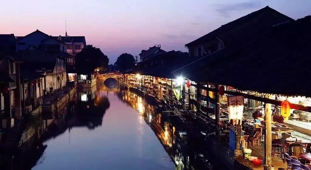 20厘米玄凤鹦鹉多大？游戏画面